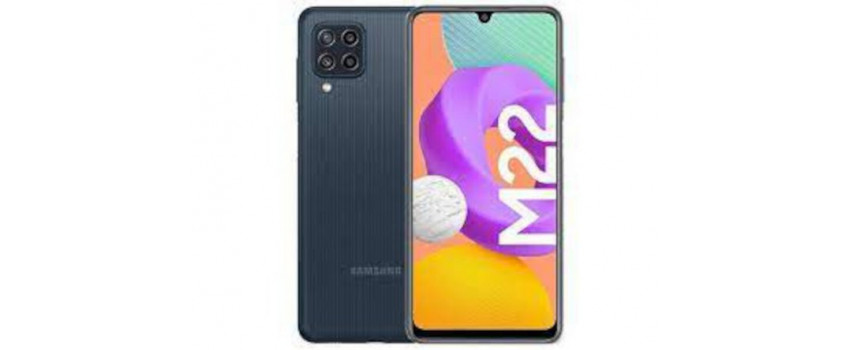 Samsung Galaxy M22