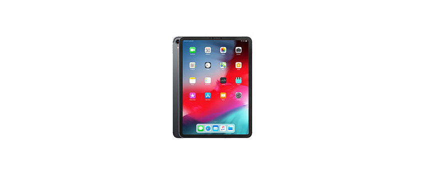 iPad Pro 11" (1A Gen 2018)
