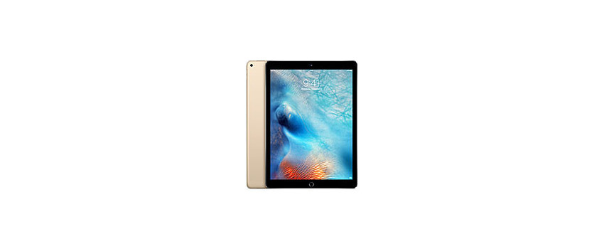 iPad Pro 12.9" (1A Gen 2015)