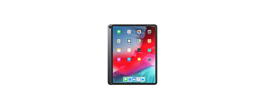 iPad Pro 12.9" (3A Gen 2018)