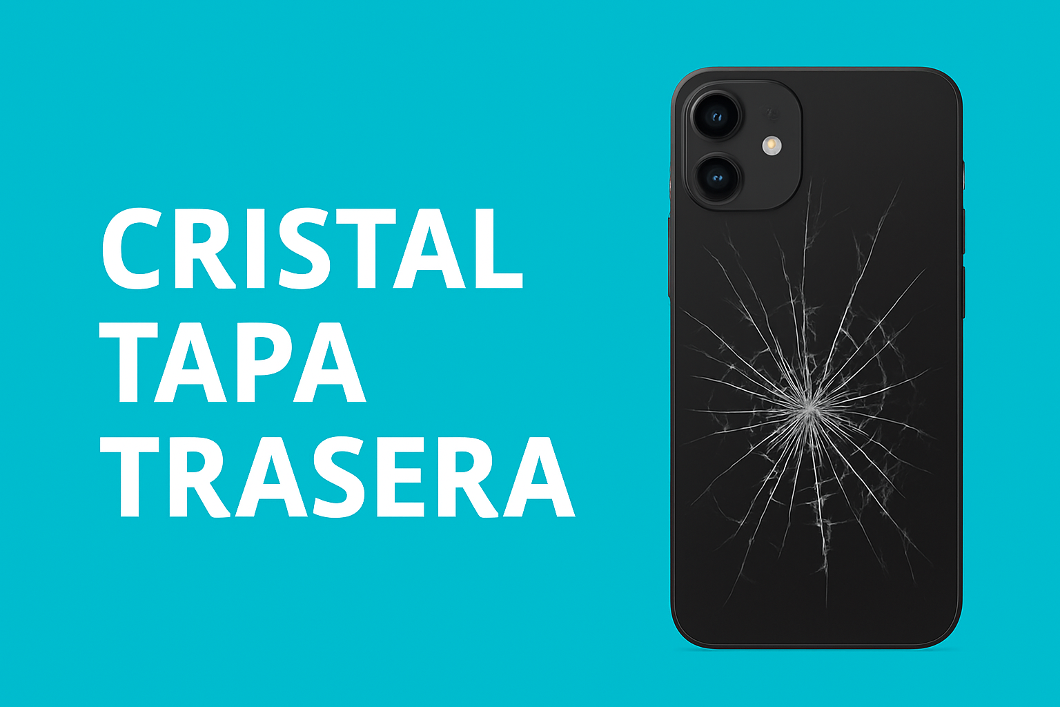 Cambio de cristal o tapa trasera