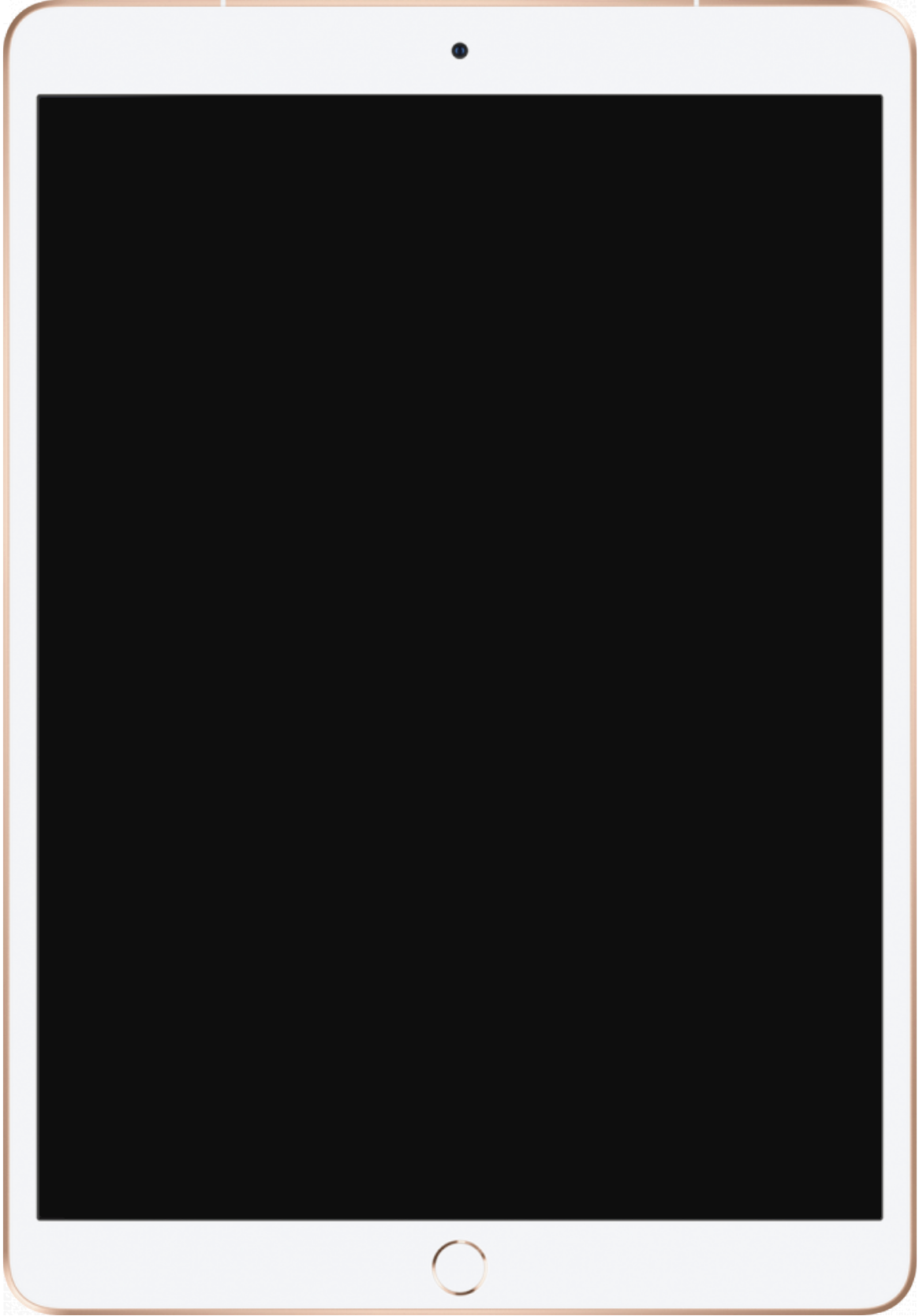 iPad Air 3