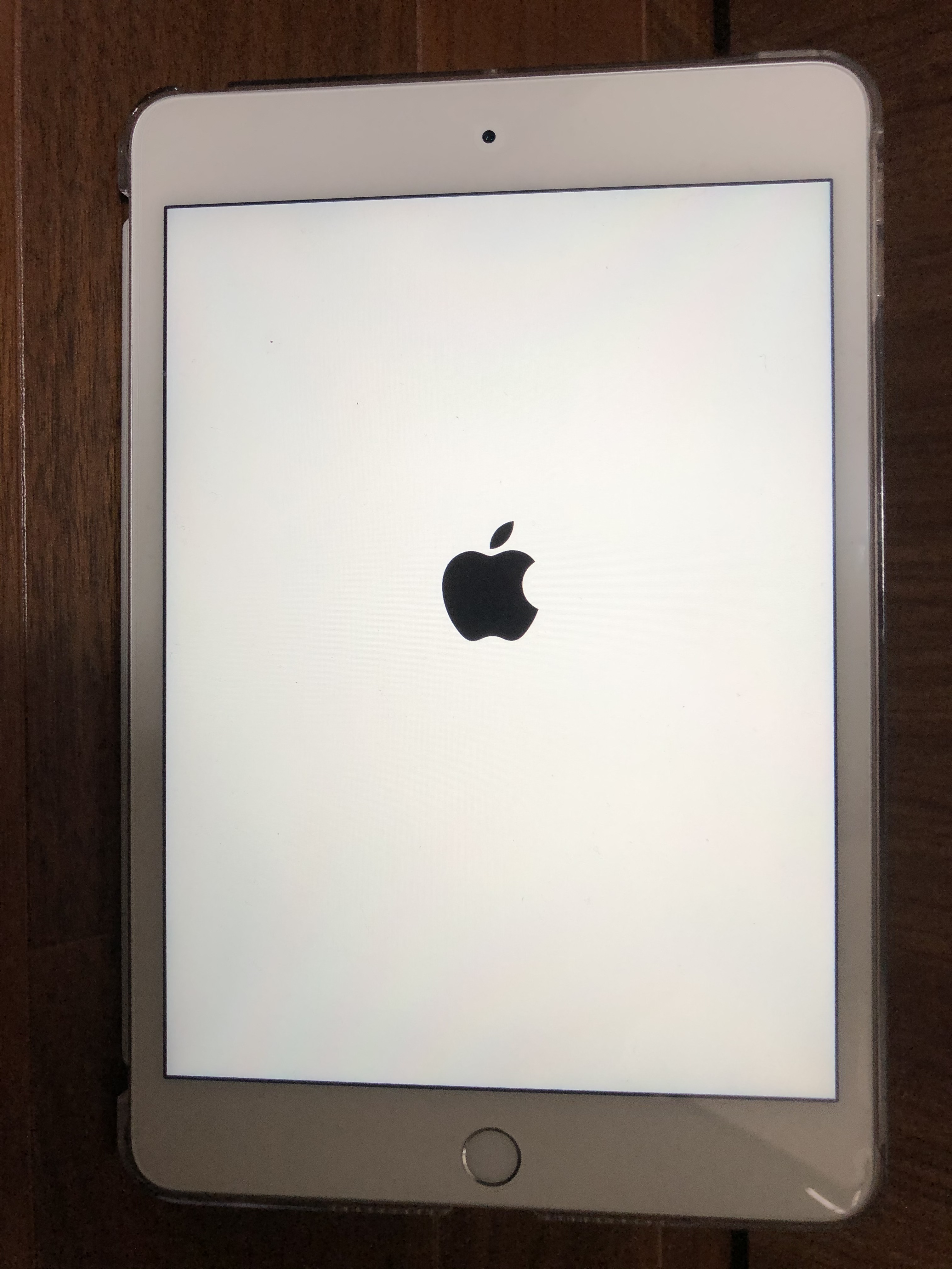 iPad Mini 5