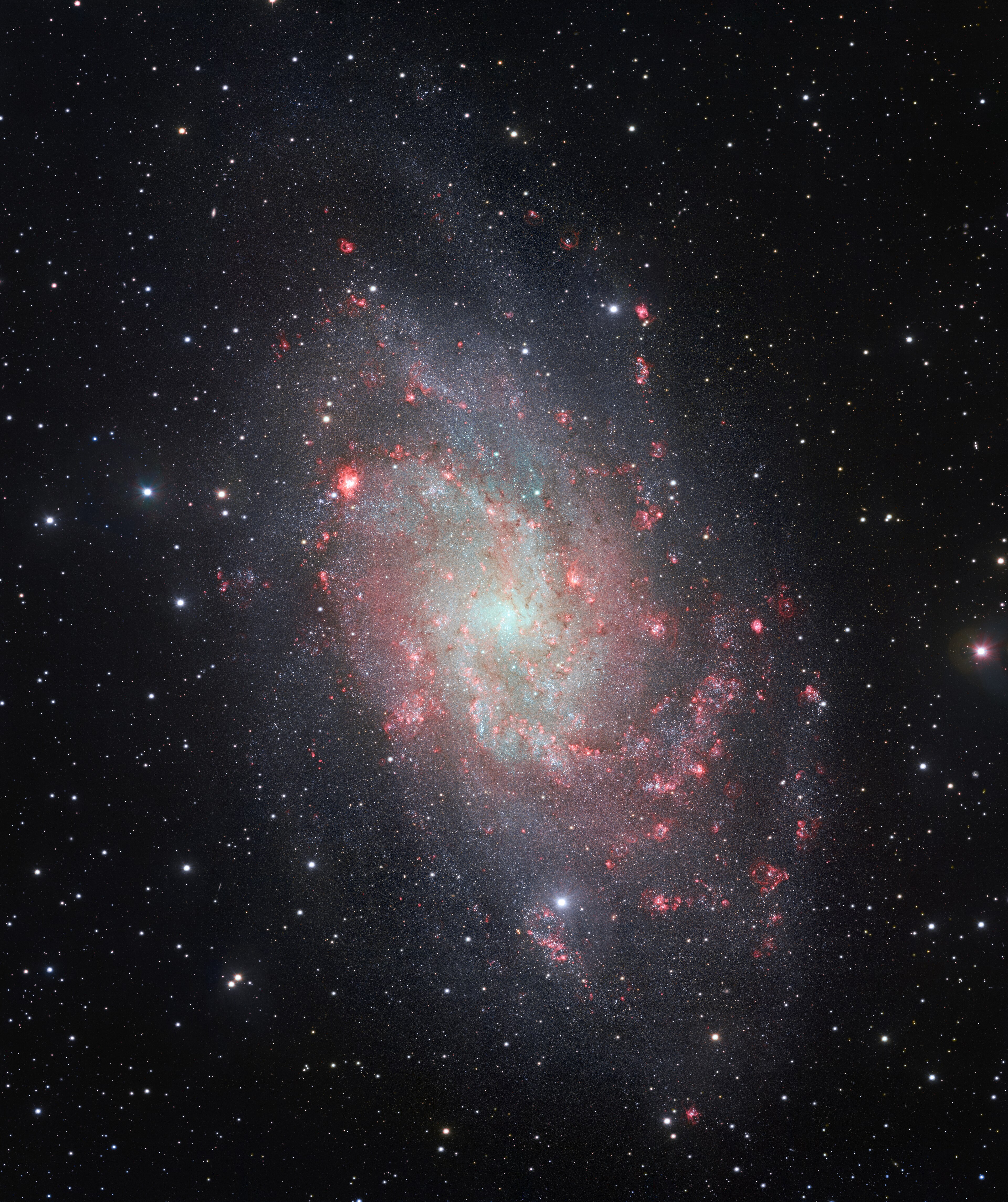 Samsung Galaxy M33